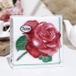 �������� �������� 24�24 [40] 1 ������� Desna Desing 